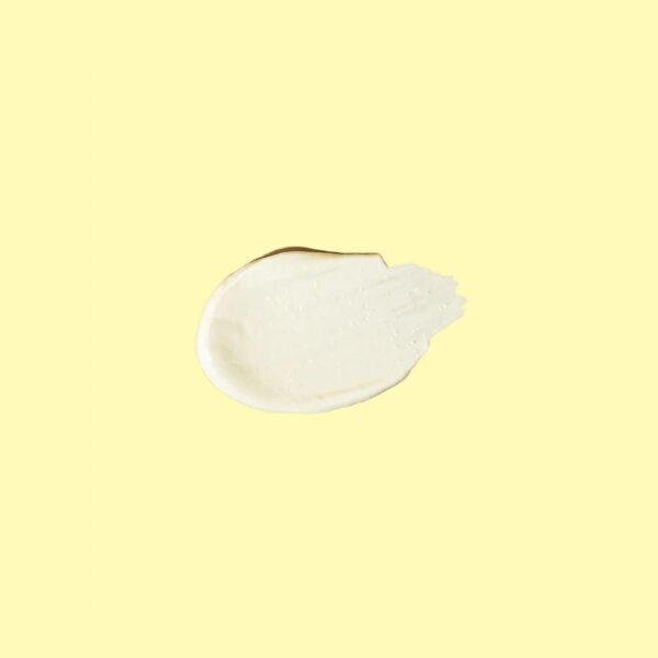 Signature SPF 50 Sunscreen Lotion Sun Bum