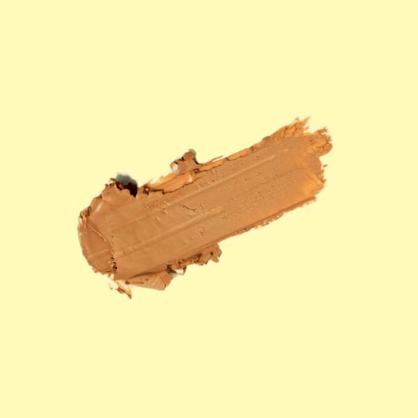 Signature SPF 30 Sunscreen Sun Bum Face Stick Filipe Toledo