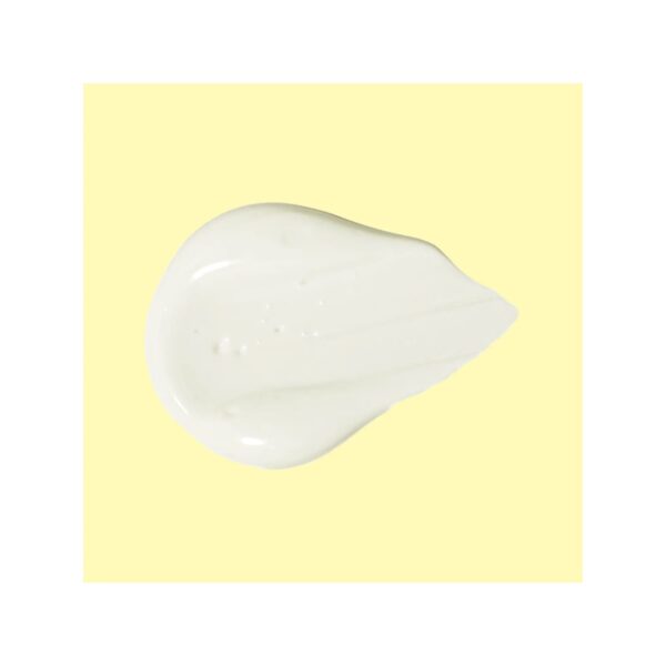 Sun Bum Bloqueador Loción Face 50 SPF - 88 ML