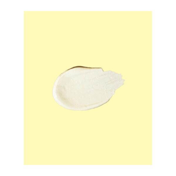 Signature SPF 50 Sunscreen Lotion Sun Bum - 88ml