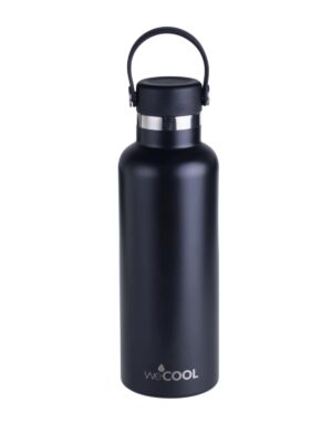 wecool-650-botella-black-1-min