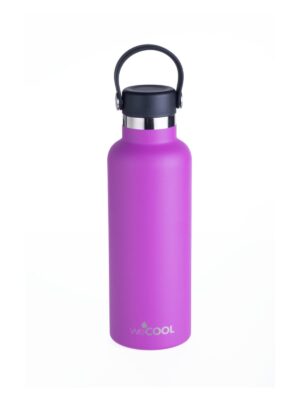 wecool-650-botella-purple-1-min