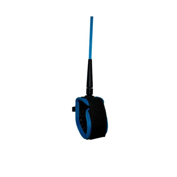 Leash Spicy Regular 7" Blue