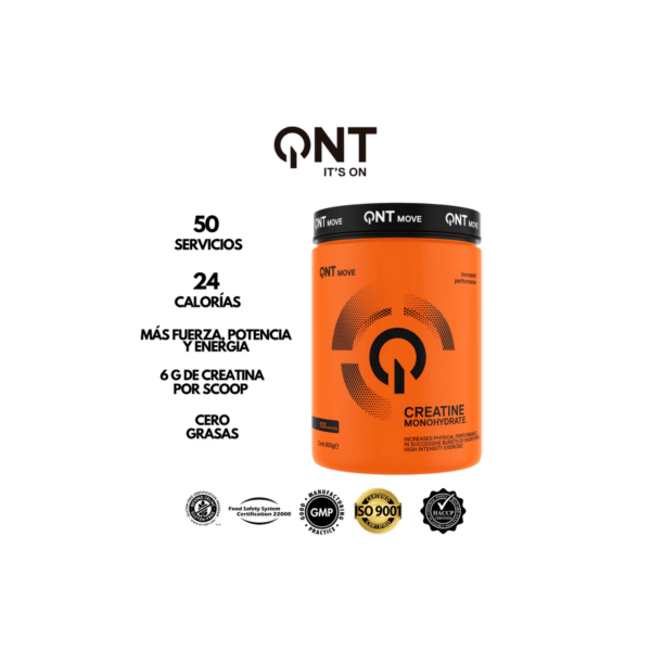 Creatina Monohidratada 300 g QNT