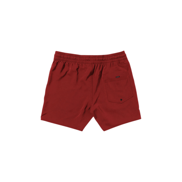 Ropa De Baño Hombre Volcom Lido Solid Trunk 16