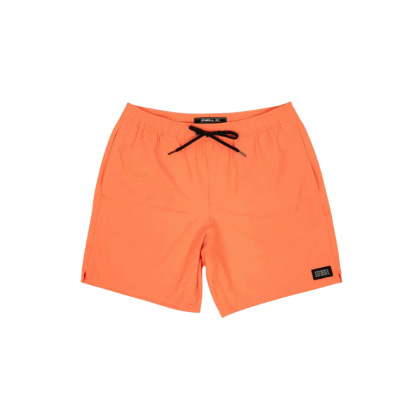 Ropa De Baño Hombre Oneill Lennox Hermosa Solid 19