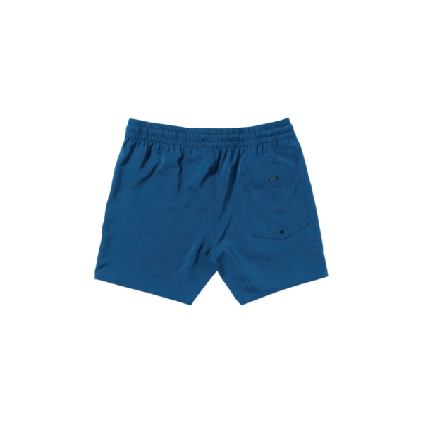 Ropa De Baño Hombre Volcom Lido Solid Trunk 16