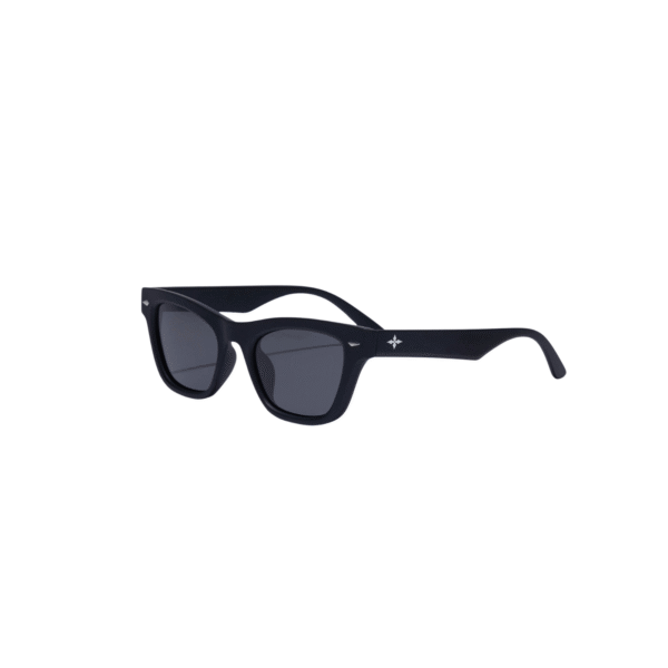 Lentes Generator Polarised - Ritual Vision